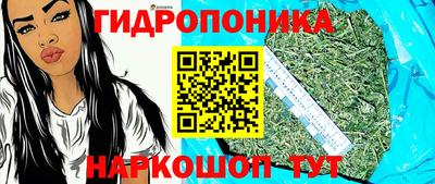 бошки Лесосибирск