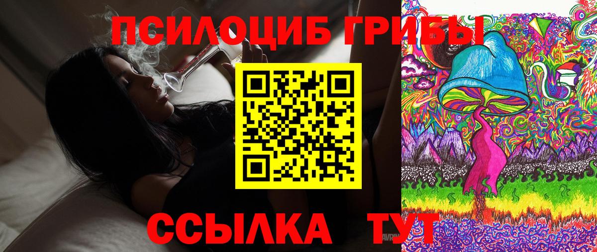 Горно-Алтайск  Псилоцибиновые грибы мухоморы  Вход с VPN  Псилоцибиновые грибы Magic Shrooms 